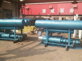 浮筒式潜水泵-重庆某园林公司湖泊取水园林灌溉