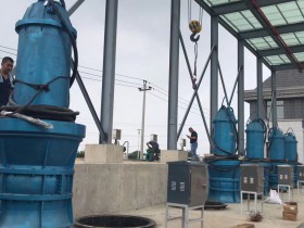 天津幸福河泵站280千瓦潜水轴流泵安装现场