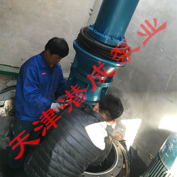 天津市滨海新区塘沽南疆潜水轴流泵|轴流潜水泵调试安装现场第1张-潜水电机-潜水电泵-高压潜水电机-天津潜成泵业