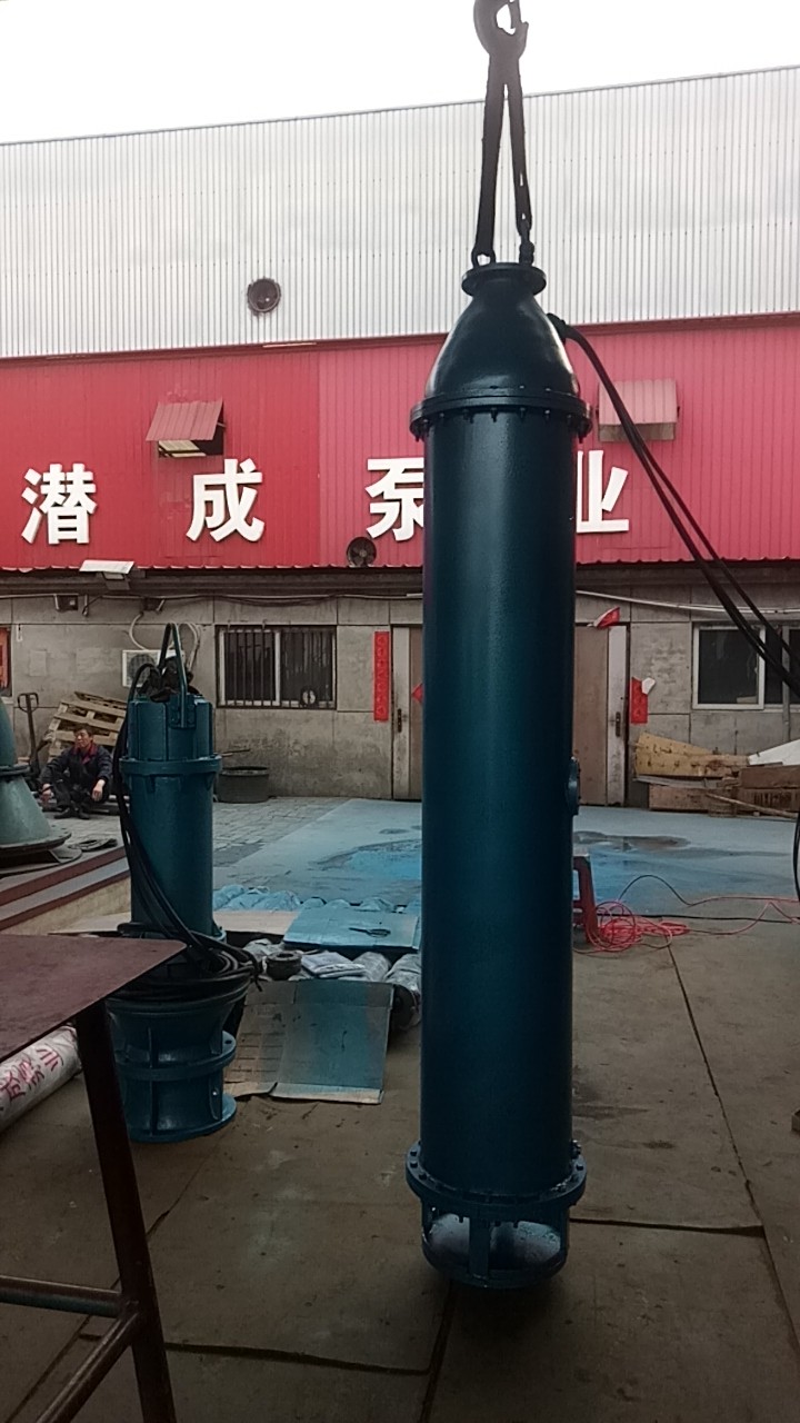 北京下吸泵125立方每小时扬程64米已准备发货第3张-潜水电机-潜水电泵-高压潜水电机-天津潜成泵业